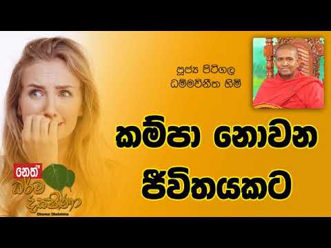 Darma Dakshina 2019.01.30 - Pitigala Dhammavinitha Himi