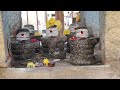 ArunachalaShiva Vibes Tiruvannamalai Arunachaleswarartemple Lordshivawhatstatus