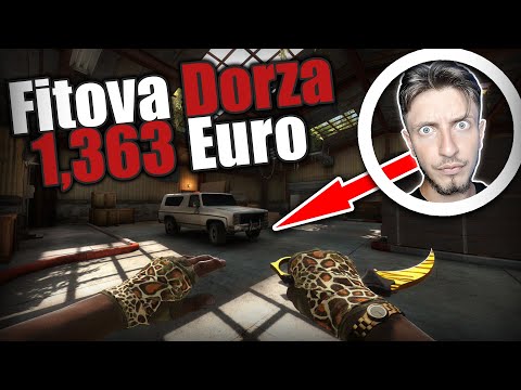 Fitova Dorza 1,363 Euro🤩 (pandaskins)