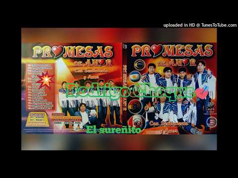 Tu No Tienes Corazon - Grupo Promesas De Amor