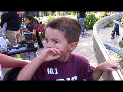 SD Zoo - 2017.11.02 Zoo time23