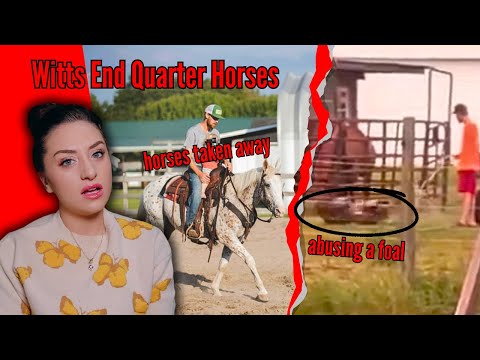 The Most Hated Horse Farm On The Internet