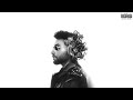 Lighter | Navaan Sandhu | Rxtro  | New Punjabi Song 2024 | Latest Punjabi Songs 2024
