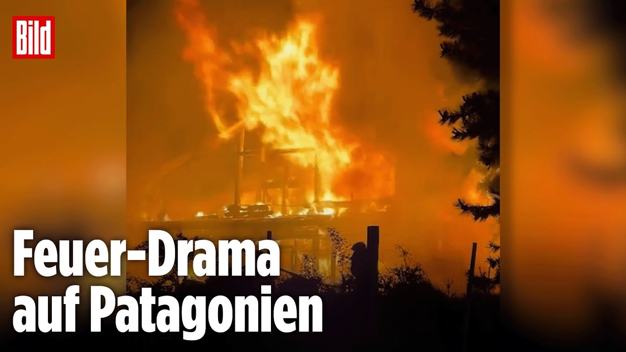 Argentinien: Ferienresidenz von Ex-BILD-Chef brennt komplett ab