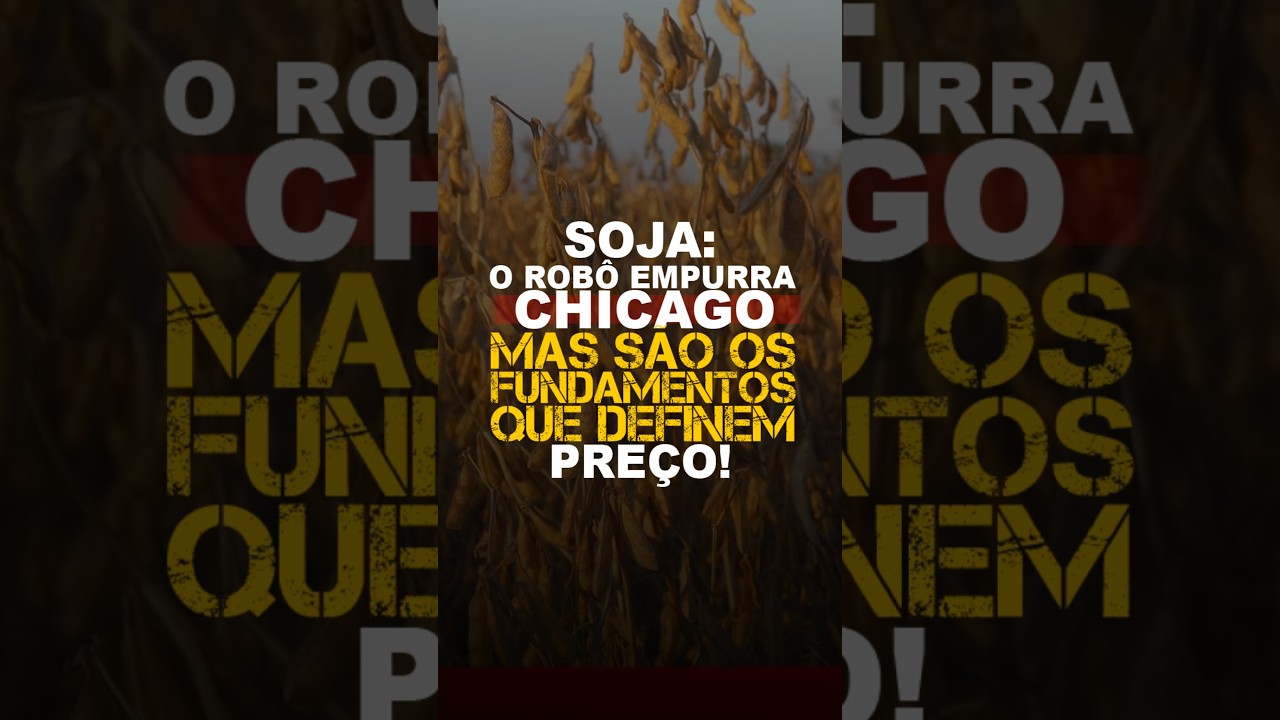 SOJA: O ROBÔ EMPURRA CHICAGO, MAS SÃO OS FUNDAMENTOS QUE DEFINEM PREÇO!