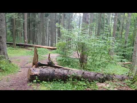 Review unde alergam la munte Timisul de Jos - Predeal