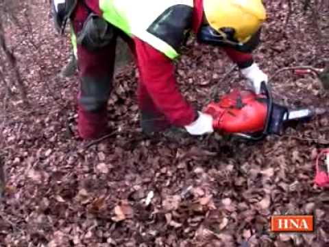 100.000 Bäume fallen im Wolfhager Land