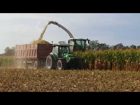 Akcja kukurydza 2018 - Gospodarstwo Rolne Morawscy 2