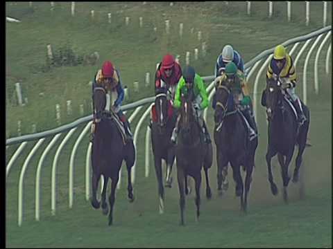 Galoppo 06/07/2016 - 4° corsa