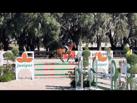 Medal at WEC Winter Spectacular, Week 6, on Brio