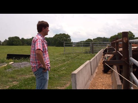 Adam Kemp, Smith County