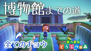 【あつ森】全てのチョウの模型を博物館前に飾って神秘的な道をつくってみました！【あつまれどうぶつの森】【島クリエイター】
