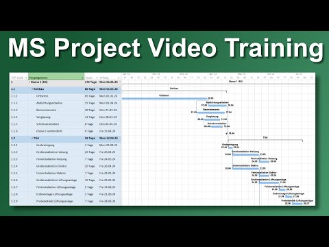 MS Project Video Training