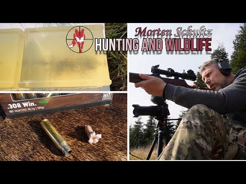 .308win lead-free in ballistic gel. RWS HIT vs RWS Evolution vs PPU Z-GROM