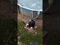 Parents Destroying Kids Electronics Part IV