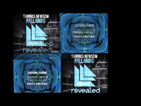 Animal Heart vs Pallaroid - Dyini mashup [Paris&Simo vs Thomas Newson]