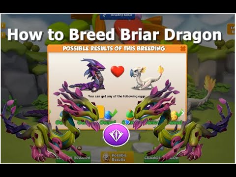 How to Breed Briar Dragon-Dragon Mania Legends | Legendary Briar Dragon | DML