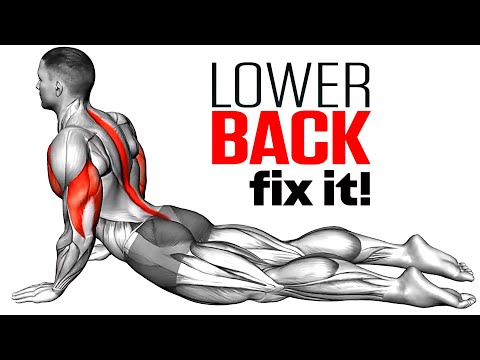Exercises To Reduce Lower Back Pain