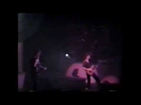 Robert Plant - Big Log (live, 1988)