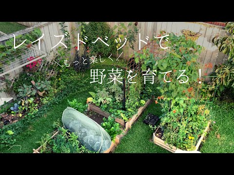 初霜から庭を守るための効果的で安価な 4 つの方法!  庭園