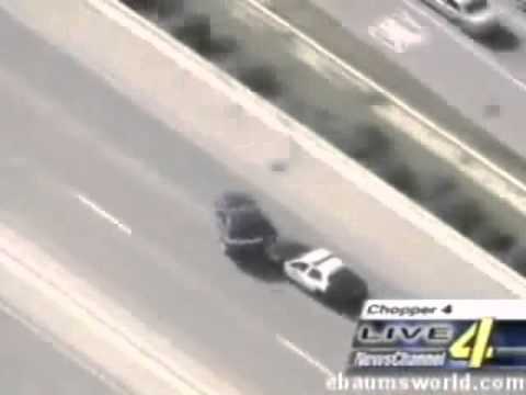 White Shadow FLY - Educated Gangster