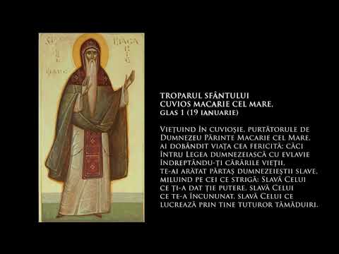 TROPARUL SFÂNTULUI CUVIOS MACARIE CEL MARE, glas 1 (19 ianuarie)