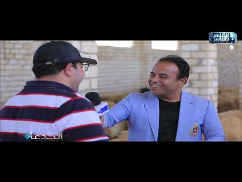 , title : 'الجدعان | يرصد قصة الشاب محمد الجمال في إحياء تربية خراف البرقي في محافظة مطروح'