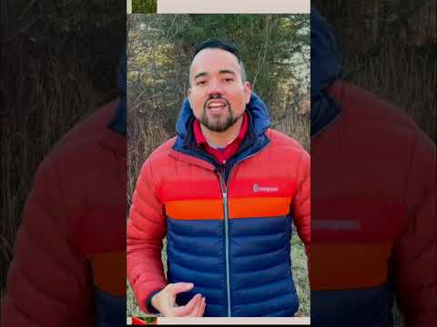 Yacon's Secret: Clearer Skin & Detox #shorts