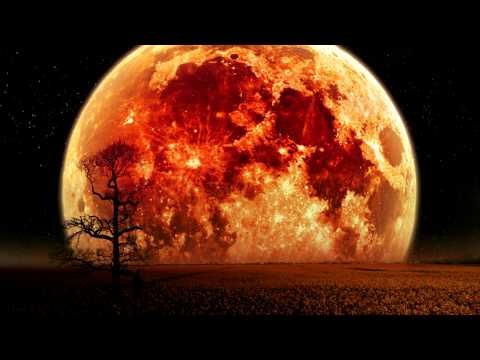 Flowhertz - Nice Try