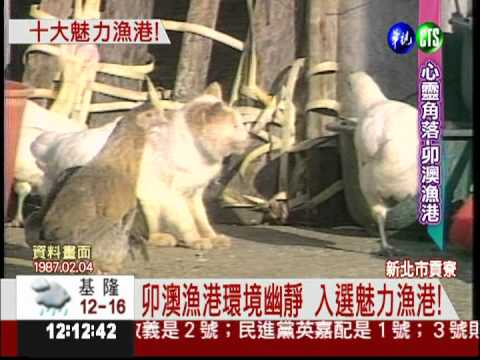 環境幽靜 貢寮卯澳漁港有魅力!