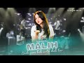 Diandra Ayu Malih I Feat VIP Music Official Live Music