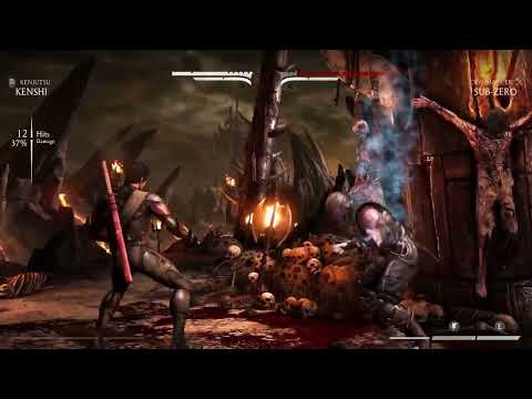 Kenshi Brutality combo