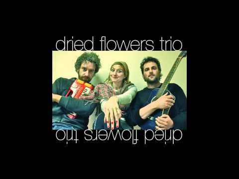 Dried Flowers Trio - Rock Your Soul