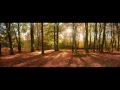 Moby - Natural Blues 