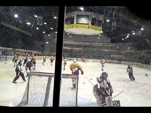 ambri -  scl tigers