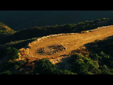 Miguel Atwood-Ferguson - 'Eunoia' (Official Video)