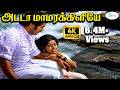 Adada Maamara Kiliye அடடா மாமரக்கிளியே S Janaki Giramiya Love Melody