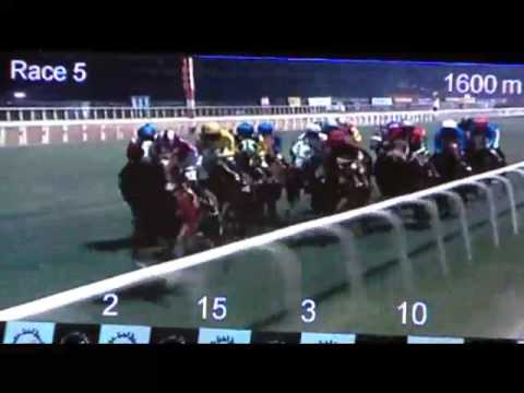 Dubai Duty Free (2009)