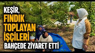  Keşir, Fındık Toplayan İşçileri Bahçede Ziyaret Etti