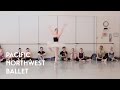Swan Lake Act 3 Coda Fouettes With Carrie Imler
