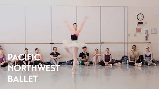 Swan Lake - Act 3 Coda Fouettes with Carrie Imler