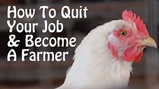 Quit Your Job and Farm - PART 1 - 10 Small Farm Ideas, from Organic Farming to Chickens & Goats.