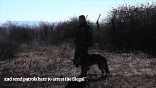 The Iron Border - Borderline