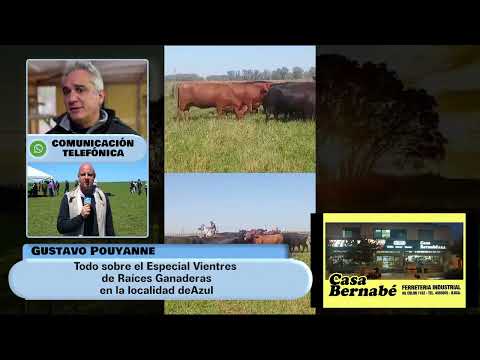 Gustavo Pouyanne: Todo sobre el Especial Vientres de Raíces Ganaderas en Azul.