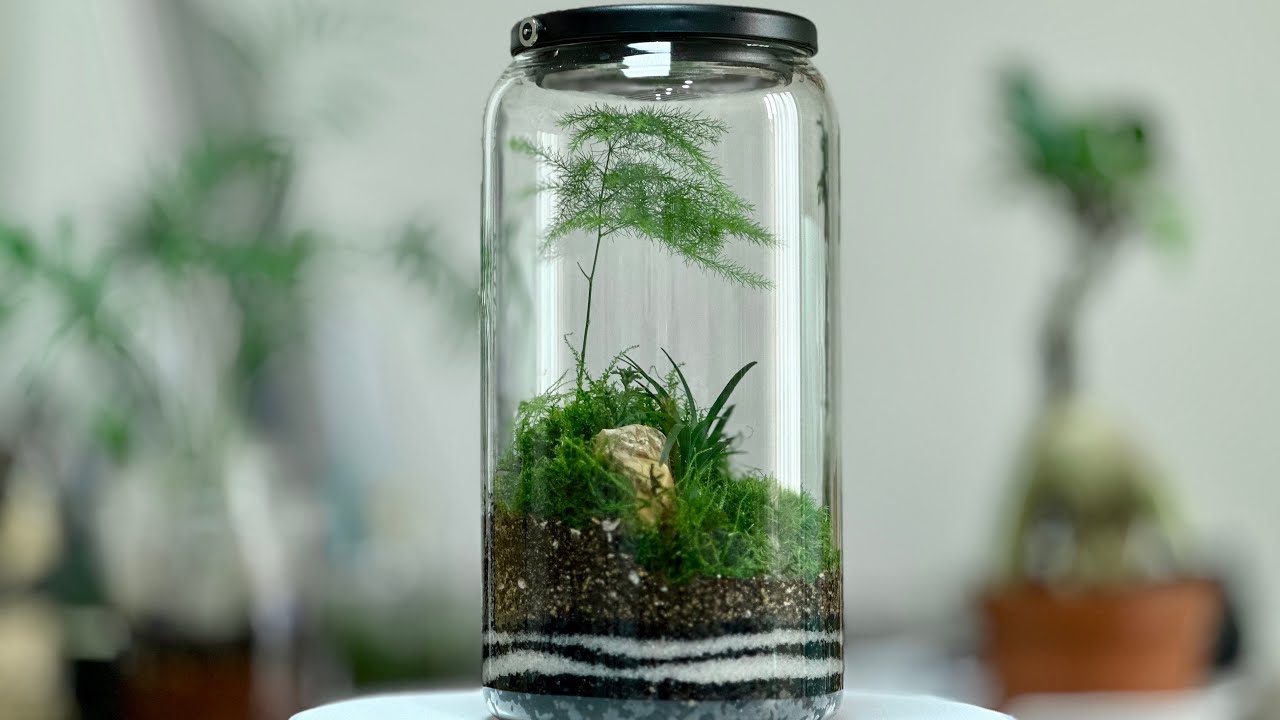 苔テラリウムを作る