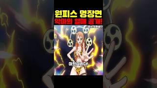 원피스 최신 근황인데? 공식 오피셜 조로 나미 상디 우솝 프랑키 악마의 열매 능력 논란 종결합니다!