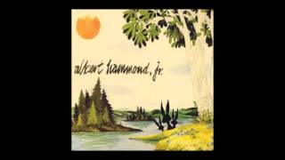 Albert Hammond Jr     Call an Ambulance