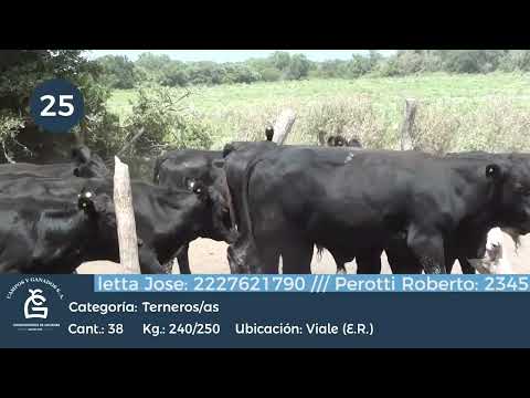 Lote M Y H - Viale - Entre Ríos