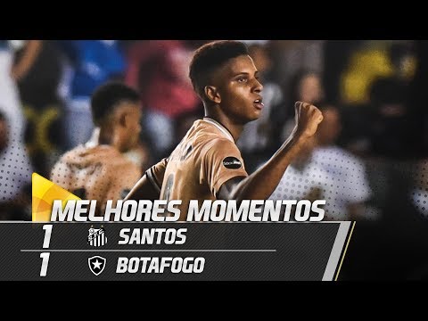 Santos 1 x 1 Botafogo | MELHORES MOMENTOS | Brasileirão (21/11/18)