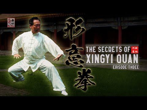The SECRETS of XINGYI QUAN - Ep.03 #xingyiquan #gongfu  #kungfu
